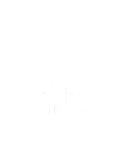 Lighthouse of Pinellas logo